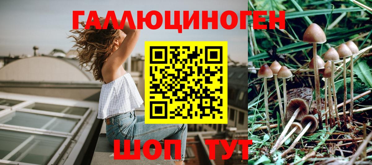 Псилоцибиновые грибы Magic Shrooms Урай