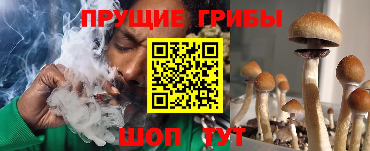 Урай  Псилоцибиновые грибы Cubensis  Псилоцибиновые грибы Psilocybine cubensis  Вход с VPN 